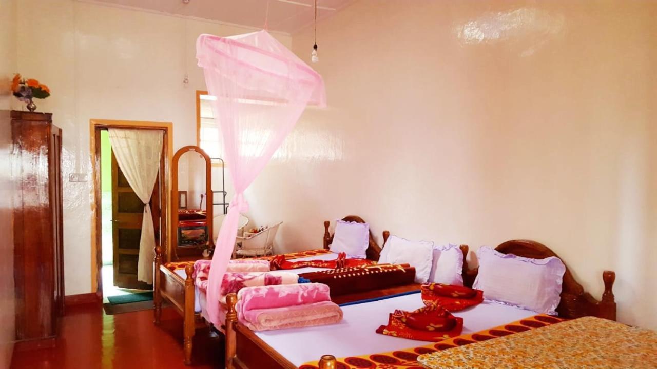 הפוטאלה Bel View Guest House מראה חיצוני תמונה